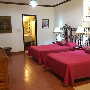 Suite Deluxe con Cama Queen